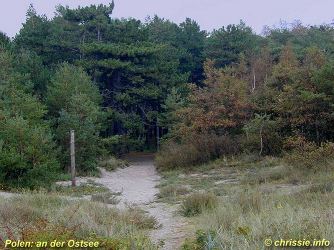 click to enlarge - anklicken zum Vergroessern