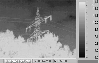 powerline + trees thermographic / thermal picture