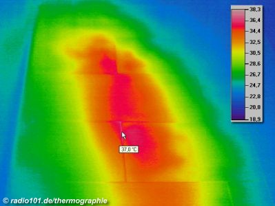 Thermographische Aufnahme / Wärmebild: schlecht isoliertes Heizungsrohr unter Fussboden, erwärmt den Boden bis 37 Grad