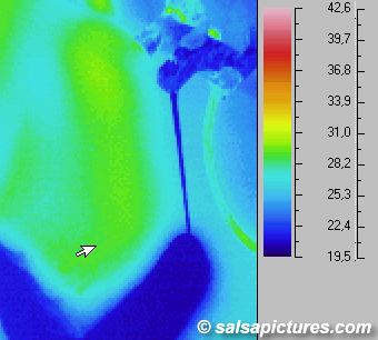 Water (Thermography: Infrared image / thermal image)